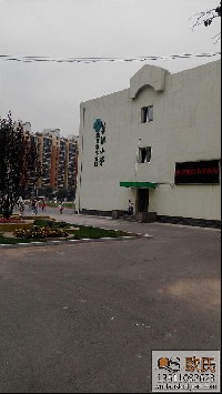 舞蹈地胶成功案例-北京市丰台区草桥小学舞蹈室地胶